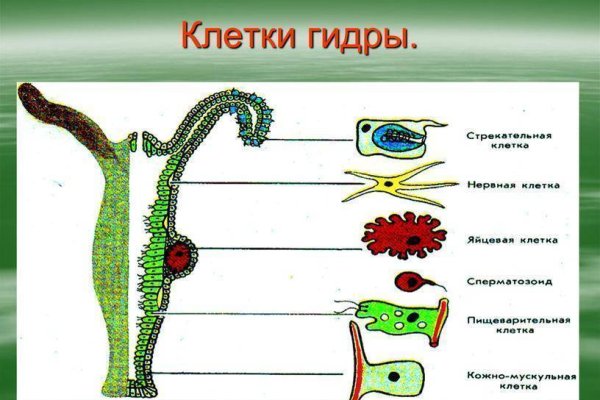 Как восстановить аккаунт на кракене даркнет